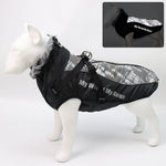 Dog Winter Jacket Water-Resistant Cotton Insulated