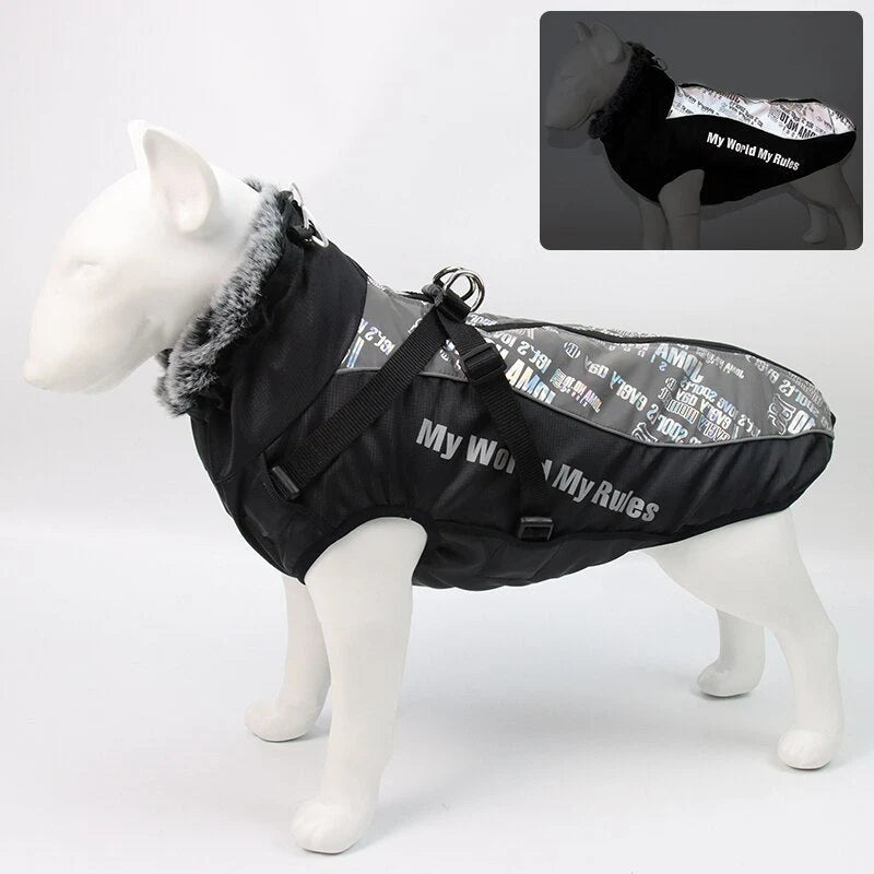 Dog Winter Jacket Water-Resistant Cotton Insulated