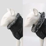 Dog Winter Jacket Water-Resistant Cotton Insulated