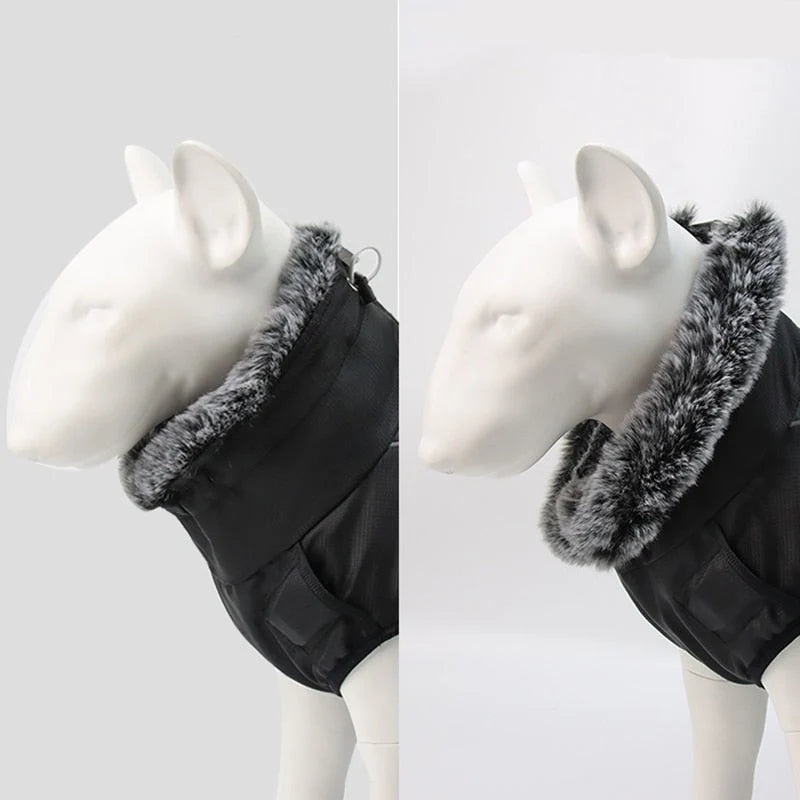 Dog Winter Jacket Water-Resistant Cotton Insulated
