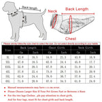 Dog Winter Jacket Water-Resistant Cotton Insulated