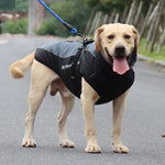 Dog Winter Jacket Water-Resistant Cotton Insulated
