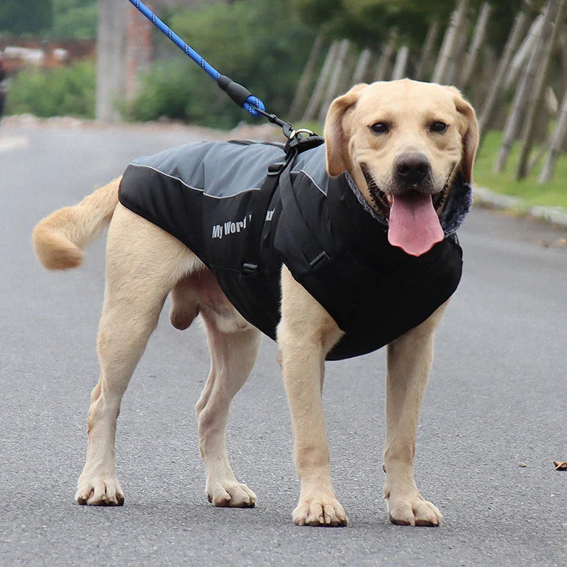 Dog Winter Jacket Water-Resistant Cotton Insulated