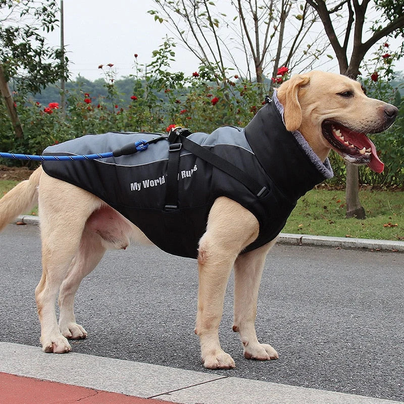 Dog Winter Jacket Water-Resistant Cotton Insulated