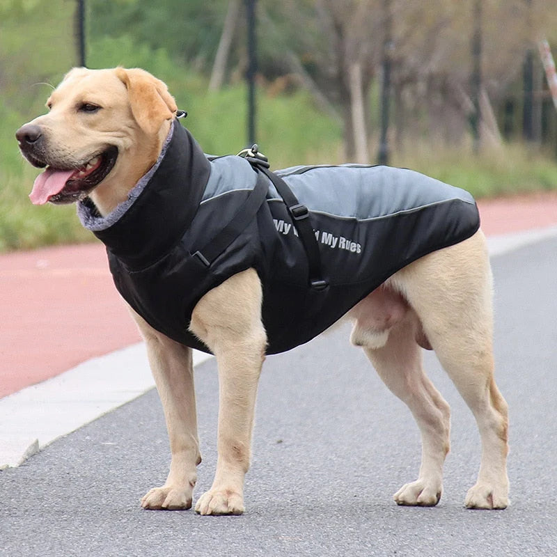 Dog Winter Jacket Water-Resistant Cotton Insulated