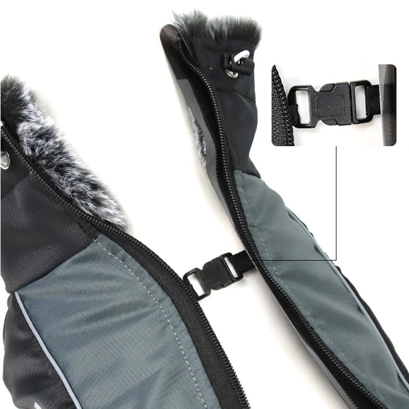 Dog Winter Jacket Water-Resistant Cotton Insulated