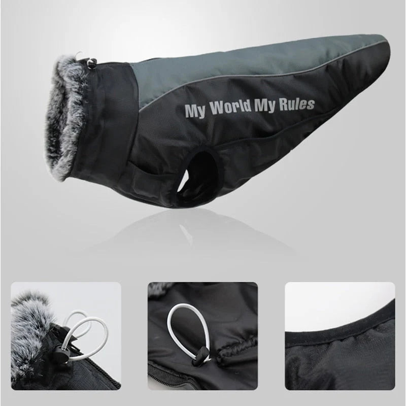 Dog Winter Jacket Water-Resistant Cotton Insulated
