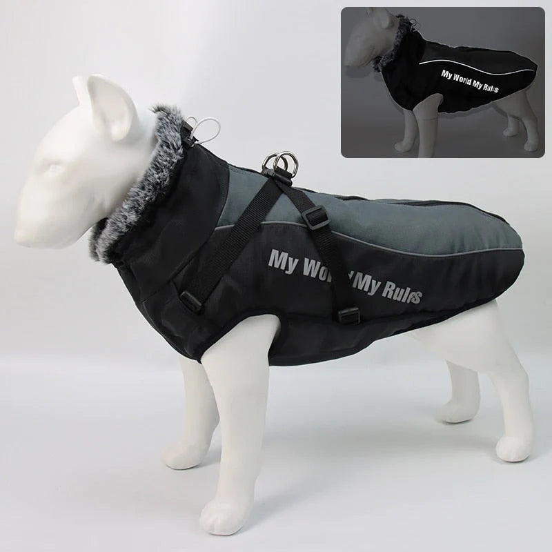 Dog Winter Jacket Water-Resistant Cotton Insulated