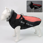 Dog Winter Jacket Water-Resistant Cotton Insulated