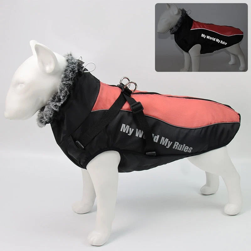 Dog Winter Jacket Water-Resistant Cotton Insulated