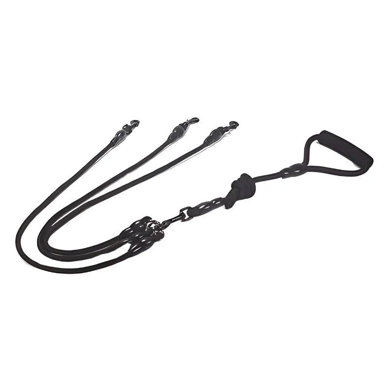 Double Dog Leash Padded No-Tangle Quick-Lock