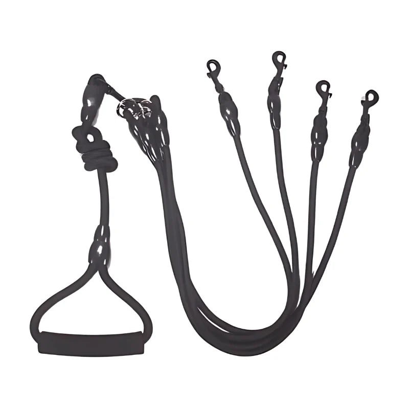 Double Dog Leash Padded No-Tangle Quick-Lock