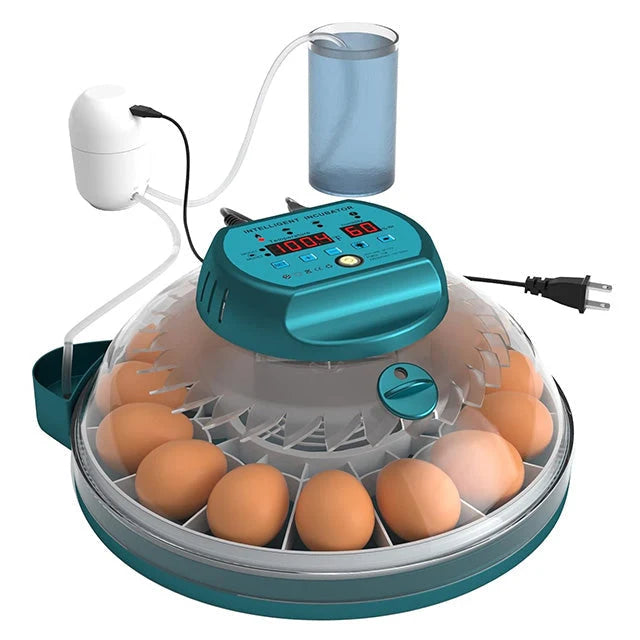 Egg Incubator 15 Egg Automatic Turning & Humidity Control