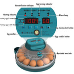 Egg Incubator 15 Egg Automatic Turning & Humidity Control