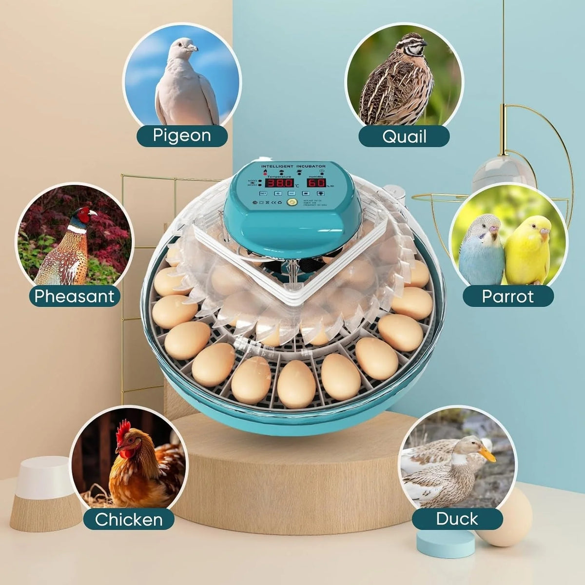 Egg Incubator 15 Egg Automatic Turning & Humidity Control