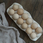 Egg Storage Tray Resin Divided 6 Or 12 Grid