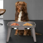 Elevated Dog Bowl Adjustable Height Dual-Bowl Design