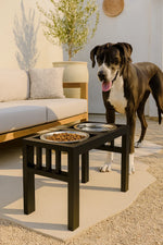 Elevated Dog Feeder Heavy-Duty Steel Double Bowl
