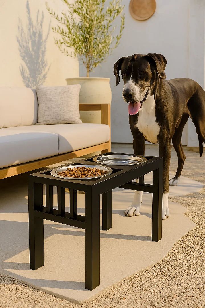 Elevated Dog Feeder Heavy-Duty Steel Double Bowl
