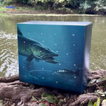 Fishing Advent Calendar 24 Accessories Reusable、】【