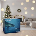 Fishing Advent Calendar 24 Unique Lures Freshwater & Saltwater