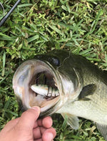 Fishing Lure Multi-Jointed Slow Sinking 3D Eyes