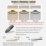Flush Mount Ceiling Light LED Dimmable Remote Control