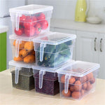 Food Storage Container Clear BPA-Free With Lid and Handle