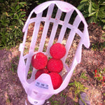 Fruit Picker Tool Twist-and-Catch High-Reach