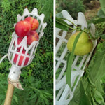 Fruit Picker Tool Twist-and-Catch High-Reach