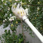 Fruit Picker Tool Twist-and-Catch High-Reach