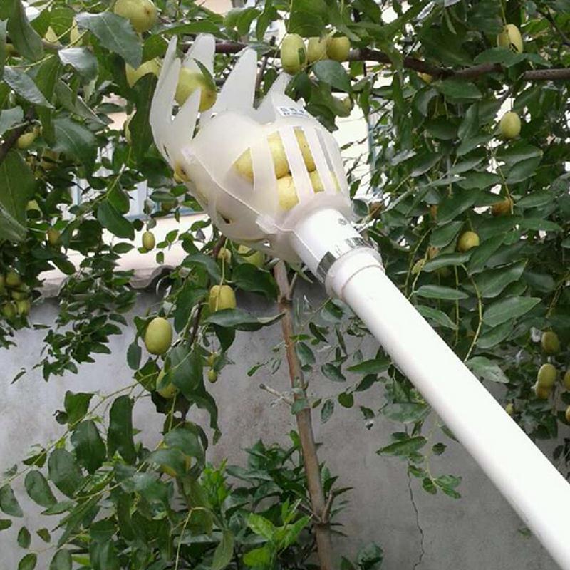 Fruit Picker Tool Twist-and-Catch High-Reach