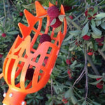 Fruit Picker Tool Twist-and-Catch High-Reach