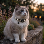 GPS Cat Collar Real-Time Tracking Reflective Water-Resistant Silicone