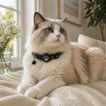GPS Cat Collar Real-Time Tracking Reflective Water-Resistant Silicone