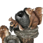 Garden Fountain Solar Option LED Lighting