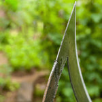 Garden Hoe Hand-Forged Manganese Steel & Lightweight