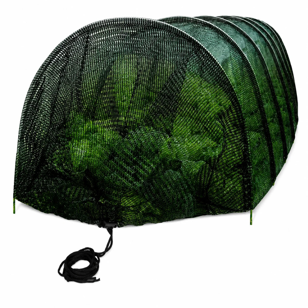 Garden Netting Tunnel Fine Mesh Insect & Bird Protection