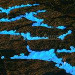 Garden Pebbles Glow In The Dark Waterproof & Non-Toxic