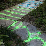 Garden Pebbles Glow In The Dark Waterproof & Non-Toxic