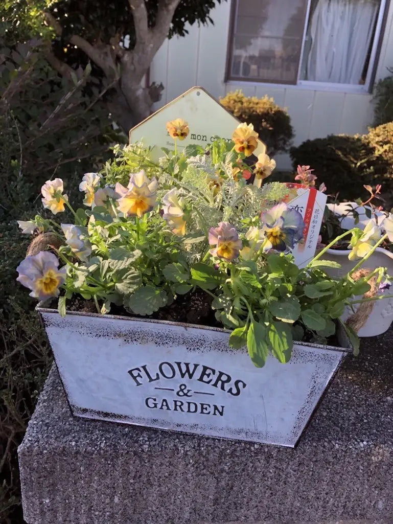 Garden Planter Metal Hemp Rope Handles