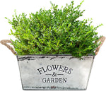 Garden Planter Metal Hemp Rope Handles