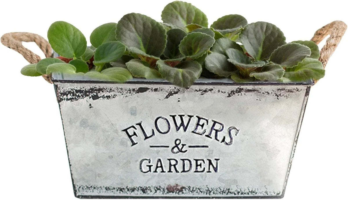 Garden Planter Metal Hemp Rope Handles