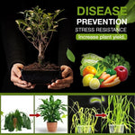 Garden Soil Booster Fast-Acting Natural Mineral