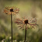 Garden Stake Bluebonnet Iron Rust-Resistant Finish