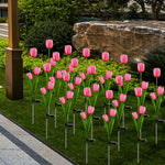 Garden Stake Light Solar LED Tulip 300 Lumens