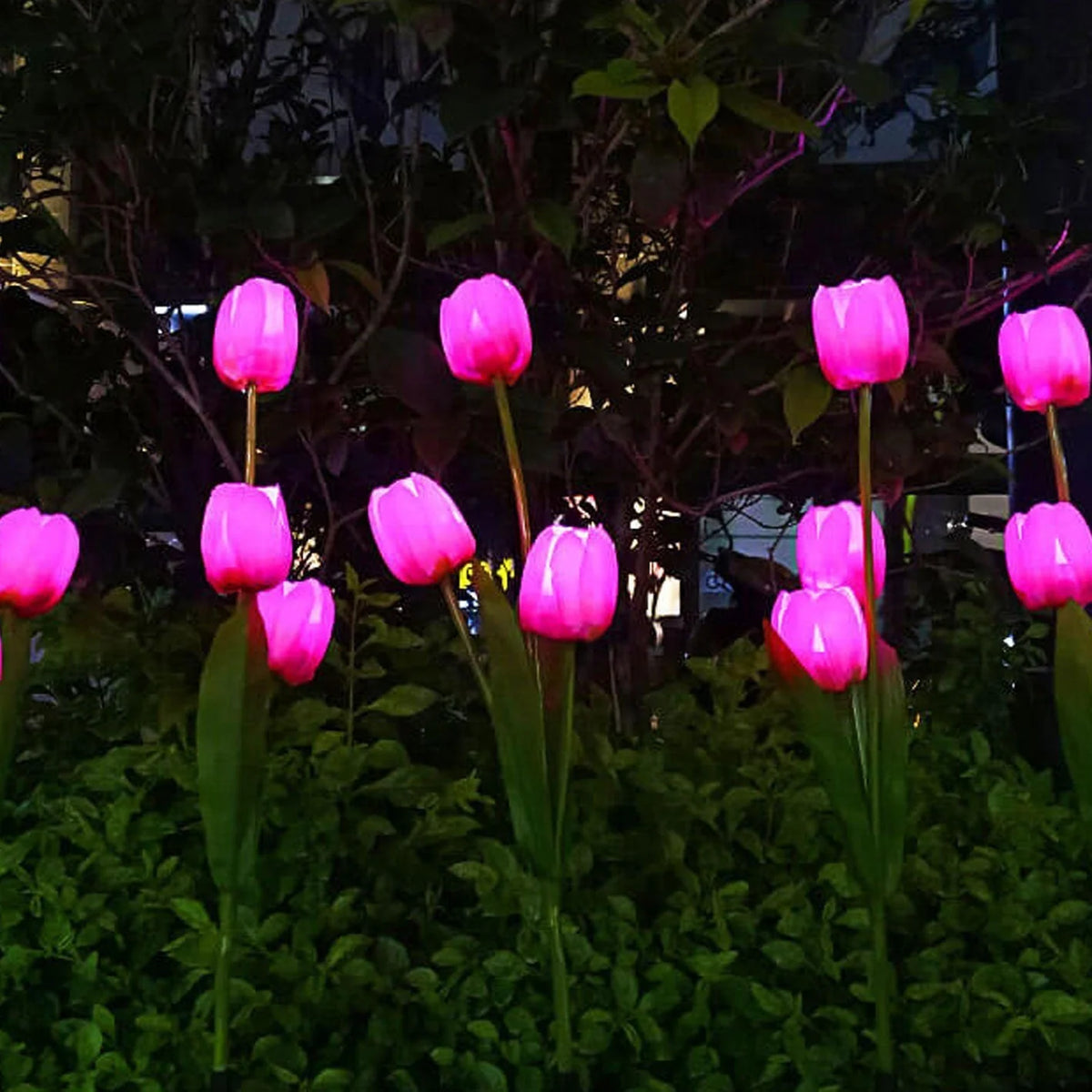 Garden Stake Light Solar LED Tulip 300 Lumens