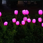 Garden Stake Light Solar LED Tulip 300 Lumens