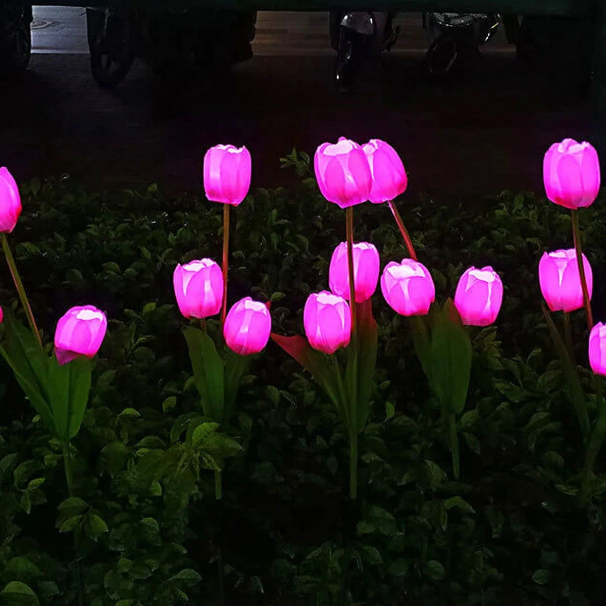Garden Stake Light Solar LED Tulip 300 Lumens