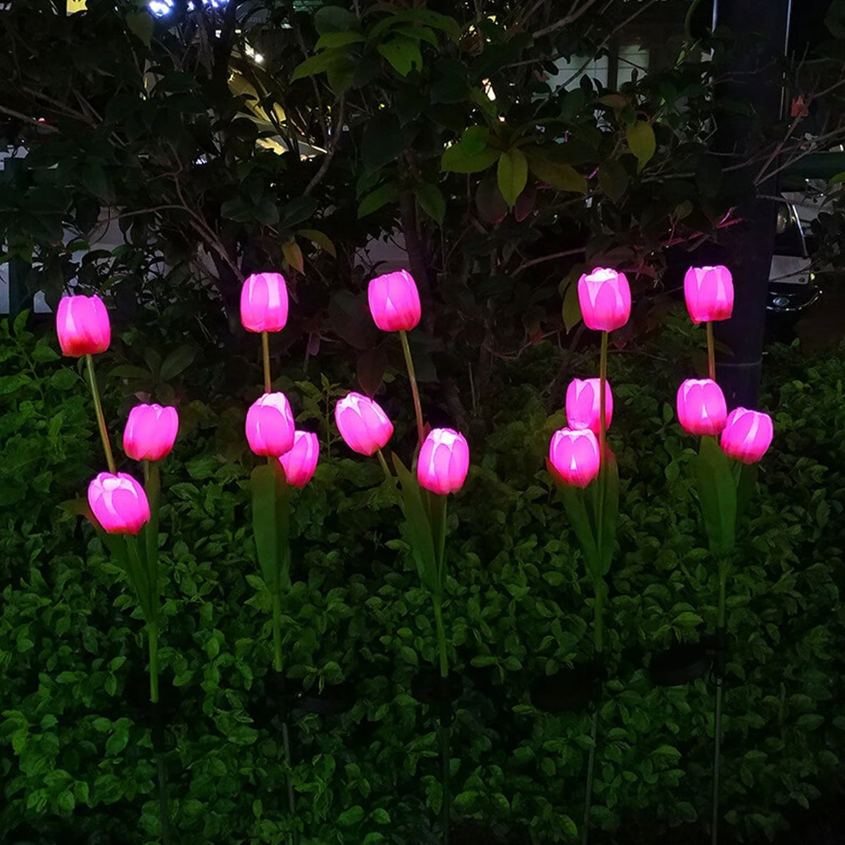Garden Stake Light Solar LED Tulip 300 Lumens